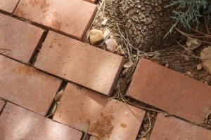 How to Reinstall a Brick Pathway 5430154592 f603232297 o 320x2001 300x200 How to Reinstall a Brick Pathway