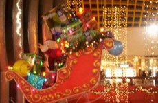 73396163_0d06ce7e4b []