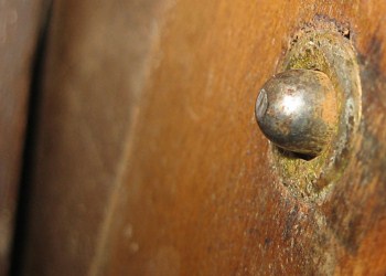 2267958068 8281f50a48 320x200 Removing Mold on Antique Wood